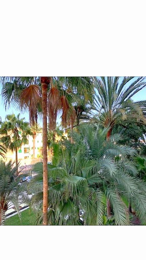 Maspalomas Del Mar San Bartolomé Eksteriør bilde